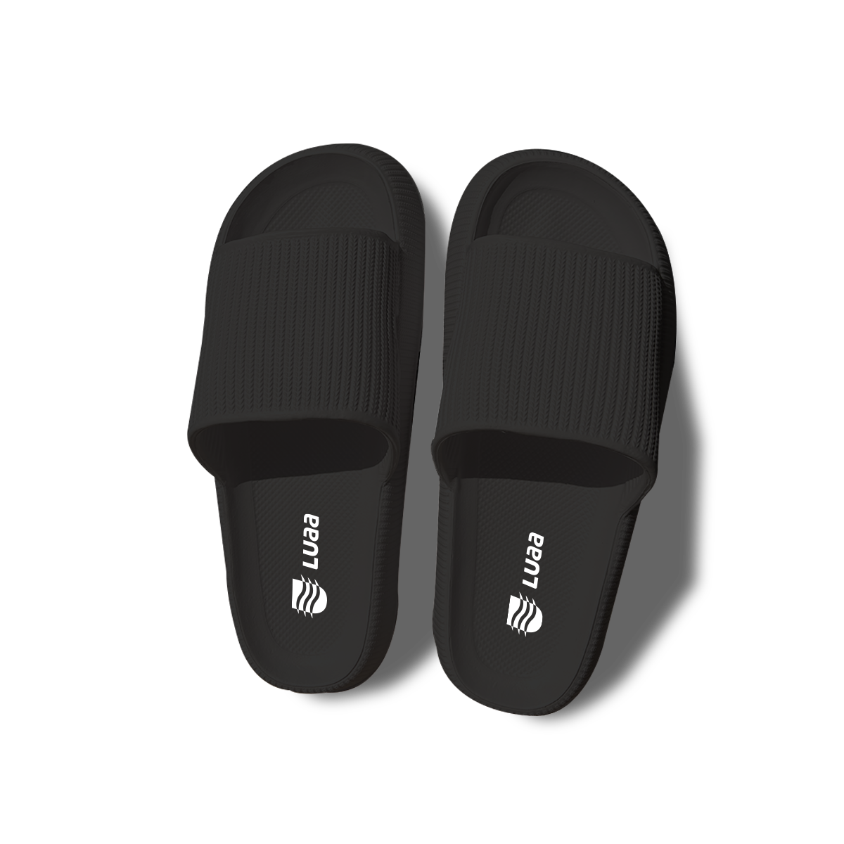 Slides  Black