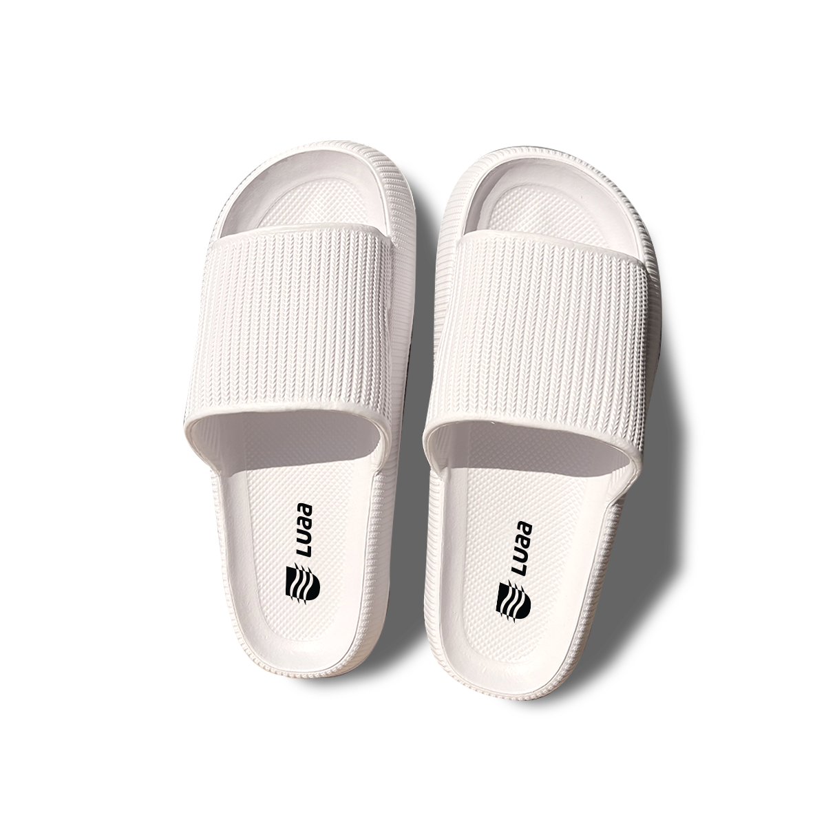 Slides White